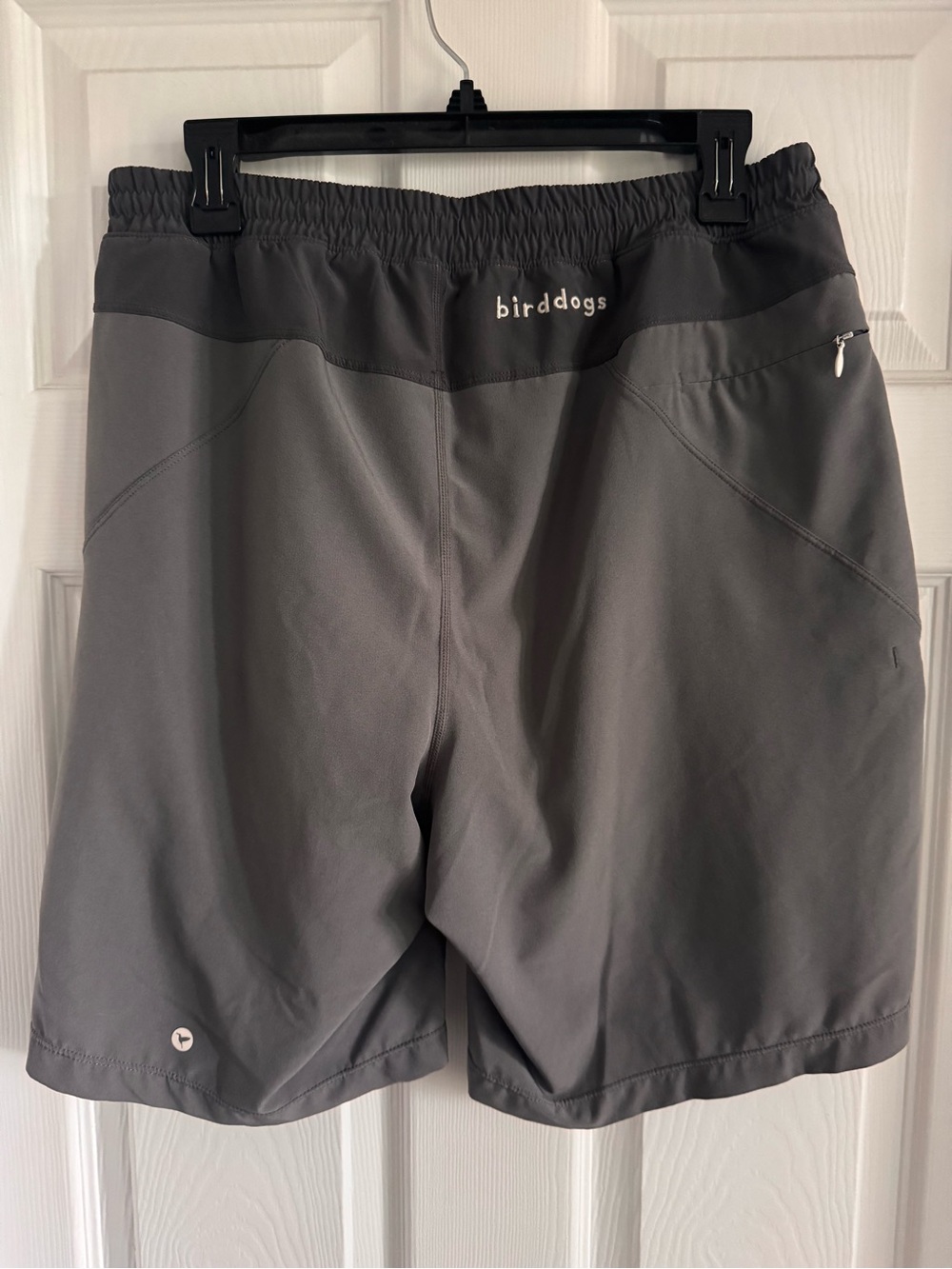 Birddogs Teal-Blue Lined Athletic Shorts - Picture 2 of 6